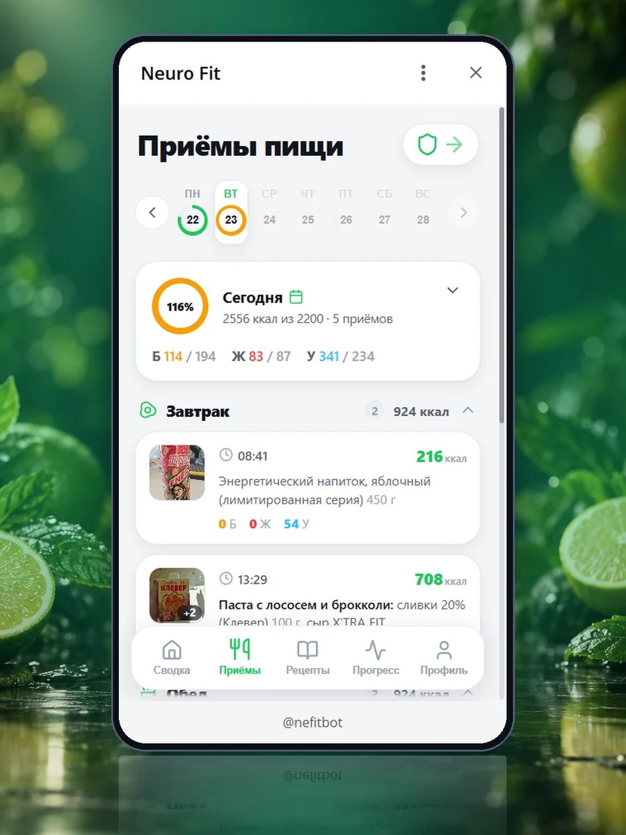 Дневник питания: приёмы за день с калориями и БЖУ